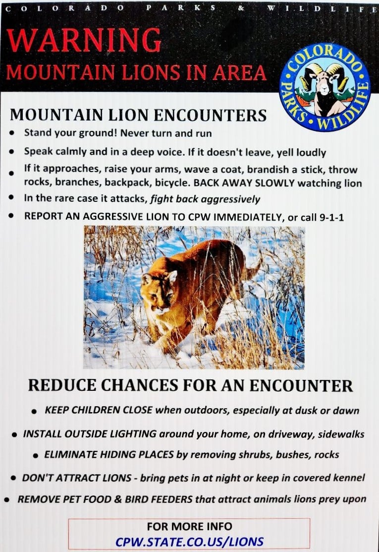 Mountain lion attacks man in hot tub